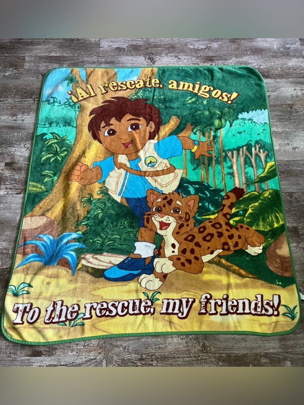 Go Diego Go Toddler Blanket